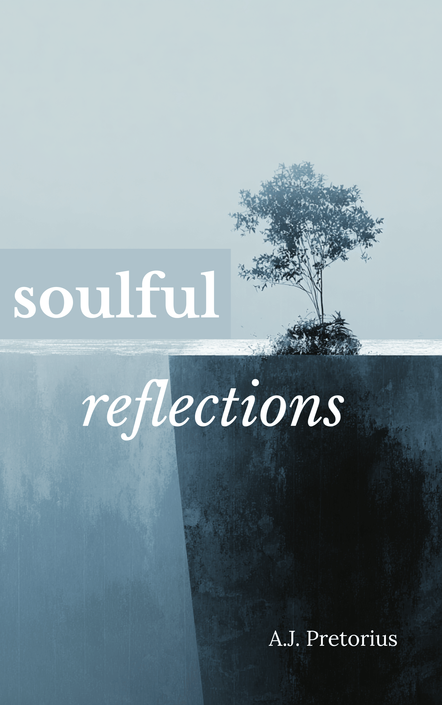 soulful reflections book cover